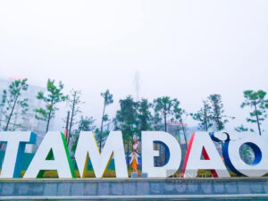 Tam dao